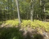 47 Day Lily Court, Terra Alta, West Virginia 26764, ,Lots/land,For Sale,Day Lily,10161450