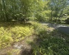 47 Day Lily Court, Terra Alta, West Virginia 26764, ,Lots/land,For Sale,Day Lily,10161450