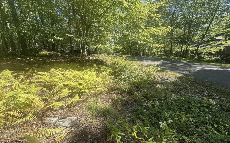 47 Day Lily Court, Terra Alta, West Virginia 26764, ,Lots/land,For Sale,Day Lily,10161450
