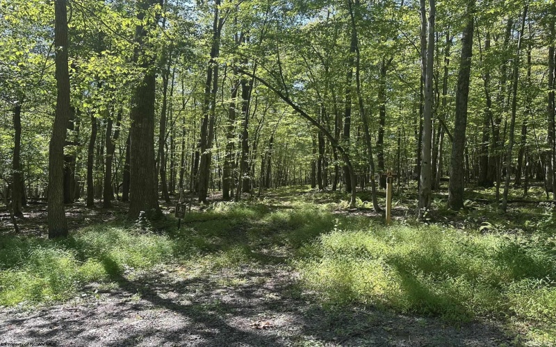 47 Day Lily Court, Terra Alta, West Virginia 26764, ,Lots/land,For Sale,Day Lily,10161450
