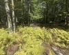47 Day Lily Court, Terra Alta, West Virginia 26764, ,Lots/land,For Sale,Day Lily,10161450