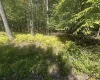 47 Day Lily Court, Terra Alta, West Virginia 26764, ,Lots/land,For Sale,Day Lily,10161450