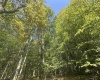 47 Day Lily Court, Terra Alta, West Virginia 26764, ,Lots/land,For Sale,Day Lily,10161450
