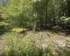 47 Day Lily Court, Terra Alta, West Virginia 26764, ,Lots/land,For Sale,Day Lily,10161450
