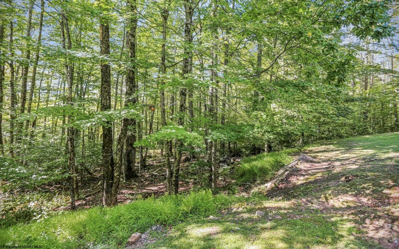 67 Fern Lane, Davis, West Virginia 26260, 4 Bedrooms Bedrooms, 6 Rooms Rooms,2 BathroomsBathrooms,Single Family Detached,For Sale,Fern,10161455