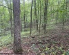 TBD Simpson Road, Belington, West Virginia 26250-0000, ,Lots/land,For Sale,Simpson,10161449