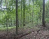 TBD Simpson Road, Belington, West Virginia 26250-0000, ,Lots/land,For Sale,Simpson,10161449