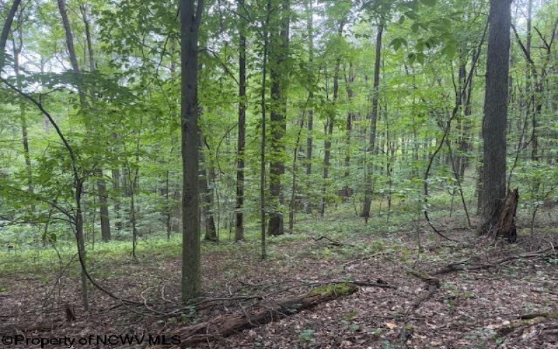 TBD Simpson Road, Belington, West Virginia 26250-0000, ,Lots/land,For Sale,Simpson,10161449