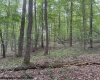 TBD Simpson Road, Belington, West Virginia 26250-0000, ,Lots/land,For Sale,Simpson,10161449