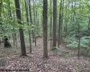 TBD Simpson Road, Belington, West Virginia 26250-0000, ,Lots/land,For Sale,Simpson,10161449