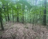 TBD Simpson Road, Belington, West Virginia 26250-0000, ,Lots/land,For Sale,Simpson,10161449