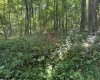 TBD Simpson Road, Belington, West Virginia 26250-0000, ,Lots/land,For Sale,Simpson,10161449