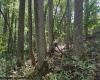 TBD Simpson Road, Belington, West Virginia 26250-0000, ,Lots/land,For Sale,Simpson,10161449