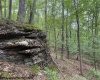 TBD Simpson Road, Belington, West Virginia 26250-0000, ,Lots/land,For Sale,Simpson,10161449