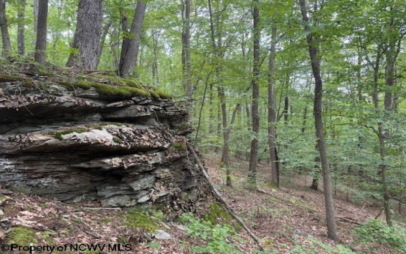 TBD Simpson Road, Belington, West Virginia 26250-0000, ,Lots/land,For Sale,Simpson,10161449