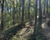 TBD Simpson Road, Belington, West Virginia 26250-0000, ,Lots/land,For Sale,Simpson,10161449