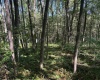 TBD Simpson Road, Belington, West Virginia 26250-0000, ,Lots/land,For Sale,Simpson,10161449