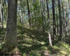 TBD Simpson Road, Belington, West Virginia 26250-0000, ,Lots/land,For Sale,Simpson,10161449