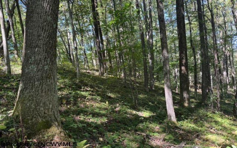 TBD Simpson Road, Belington, West Virginia 26250-0000, ,Lots/land,For Sale,Simpson,10161449