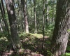 TBD Simpson Road, Belington, West Virginia 26250-0000, ,Lots/land,For Sale,Simpson,10161449