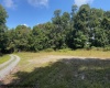 TBD Simpson Road, Belington, West Virginia 26250-0000, ,Lots/land,For Sale,Simpson,10161449