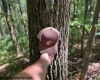 TBD Simpson Road, Belington, West Virginia 26250-0000, ,Lots/land,For Sale,Simpson,10161449