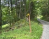 TBD Simpson Road, Belington, West Virginia 26250-0000, ,Lots/land,For Sale,Simpson,10161449