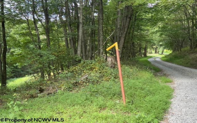 TBD Simpson Road, Belington, West Virginia 26250-0000, ,Lots/land,For Sale,Simpson,10161449