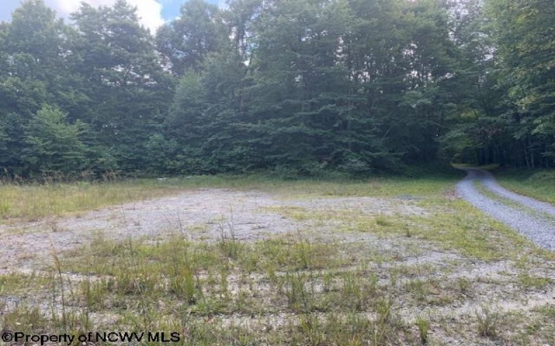 TBD Simpson Road, Belington, West Virginia 26250-0000, ,Lots/land,For Sale,Simpson,10161449