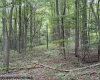 TBD Simpson Road, Belington, West Virginia 26250-0000, ,Lots/land,For Sale,Simpson,10161449
