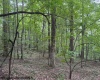 TBD Simpson Road, Belington, West Virginia 26250-0000, ,Lots/land,For Sale,Simpson,10161449