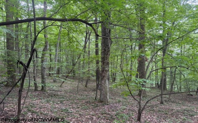 TBD Simpson Road, Belington, West Virginia 26250-0000, ,Lots/land,For Sale,Simpson,10161449
