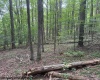 TBD Simpson Road, Belington, West Virginia 26250-0000, ,Lots/land,For Sale,Simpson,10161449