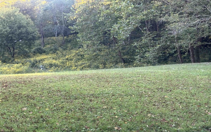 1758 Valley Chapel Road, Weston, West Virginia 26452, 3 Bedrooms Bedrooms, 9 Rooms Rooms,2 BathroomsBathrooms,Single Family Detached,For Sale,Valley Chapel,10161478