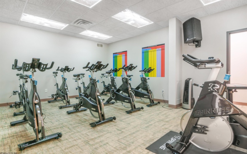 230-270 Lakewood Center, Morgantown, West Virginia 26508, ,Commercial/industrial,For Sale,Lakewood,10161458