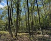 71 Trout Pass, Lost River, West Virginia 26810, ,Lots/land,For Sale,Trout,10161466