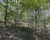 71 Trout Pass, Lost River, West Virginia 26810, ,Lots/land,For Sale,Trout,10161466