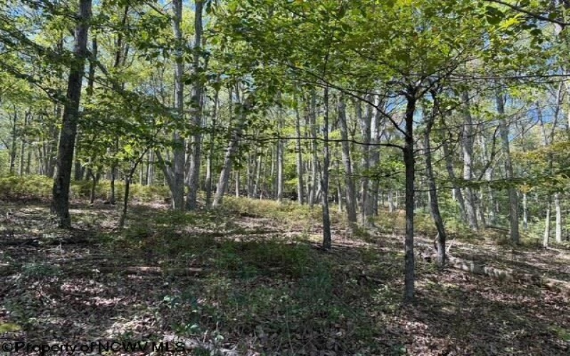 71 Trout Pass, Lost River, West Virginia 26810, ,Lots/land,For Sale,Trout,10161466