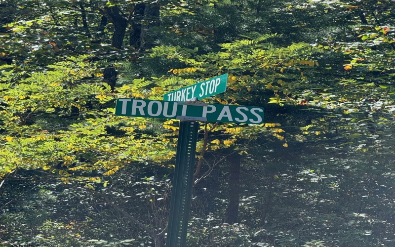 71 Trout Pass, Lost River, West Virginia 26810, ,Lots/land,For Sale,Trout,10161466