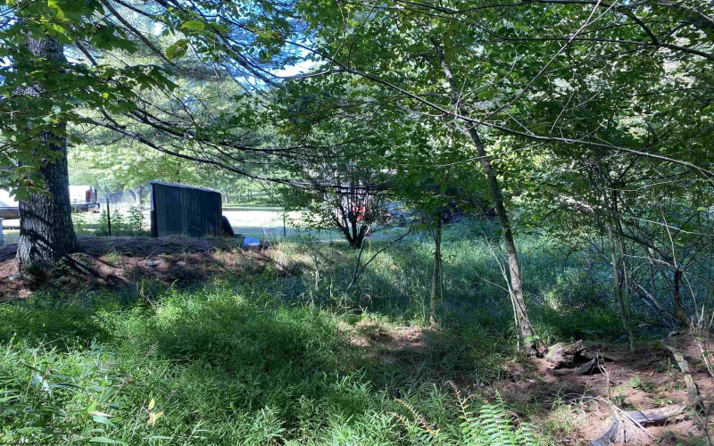 2447 Gaines Road, Rock Cave, West Virginia 26234, 4 Bedrooms Bedrooms, 7 Rooms Rooms,1 BathroomBathrooms,Single Family Detached,For Sale,Gaines,10161465