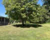 2447 Gaines Road, Rock Cave, West Virginia 26234, 4 Bedrooms Bedrooms, 7 Rooms Rooms,1 BathroomBathrooms,Single Family Detached,For Sale,Gaines,10161465