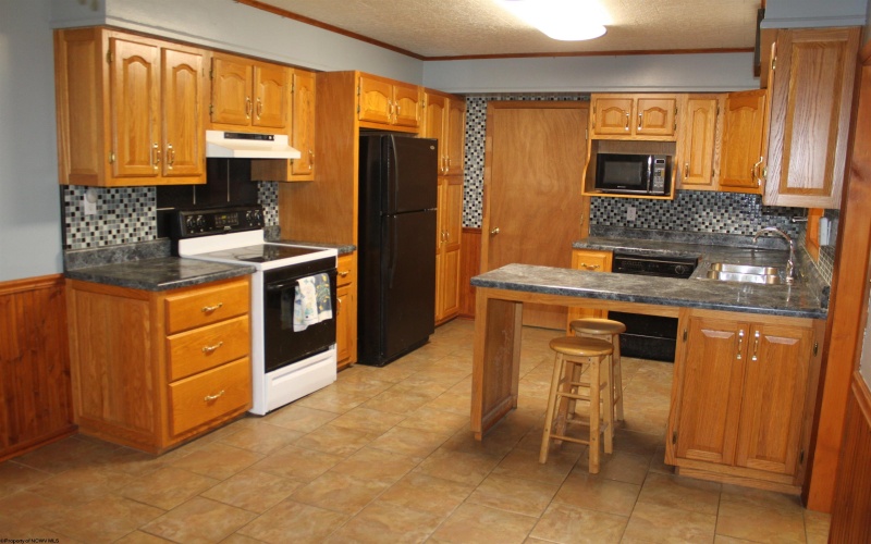 6776 Point Mountain Road, Webster Springs, West Virginia 26288, 3 Bedrooms Bedrooms, 10 Rooms Rooms,1 BathroomBathrooms,Single Family Detached,For Sale,Point Mountain,10161482