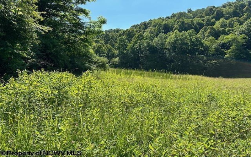 326 Joes Run Road, Mannington, West Virginia 26582, ,Lots/land,For Sale,Joes Run,10161508