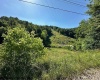 326 Joes Run Road, Mannington, West Virginia 26582, ,Lots/land,For Sale,Joes Run,10161508