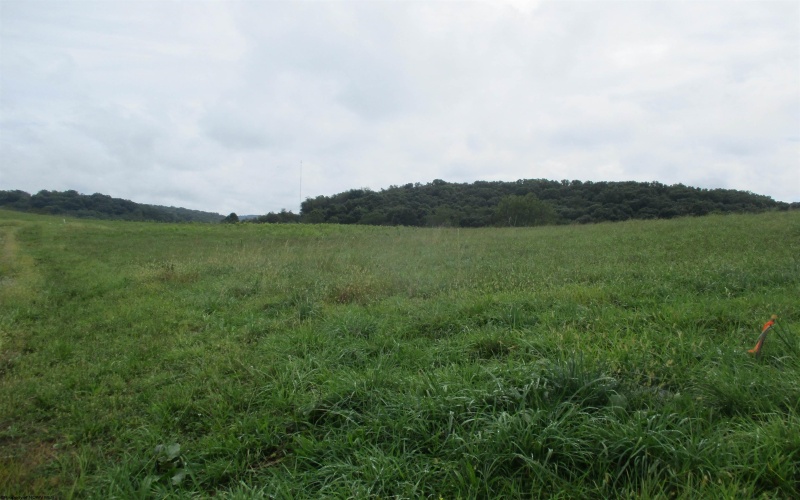 Lot 4 Sunset Drive, Buckhannon, West Virginia 26201, ,Lots/land,For Sale,Sunset,10150760