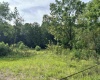 TBD B Marquess Road, Tunnelton, West Virginia 26444, ,Lots/land,For Sale,Marquess,10161487