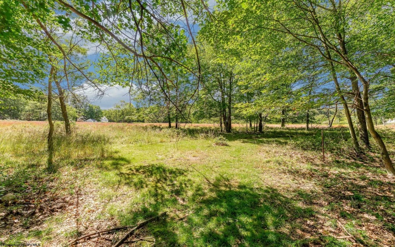 Lot 48 Hazelwood Drive, Bruceton Mills, West Virginia 26525, ,Lots/land,For Sale,Hazelwood,10161490