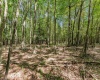 Lot 48 Hazelwood Drive, Bruceton Mills, West Virginia 26525, ,Lots/land,For Sale,Hazelwood,10161490