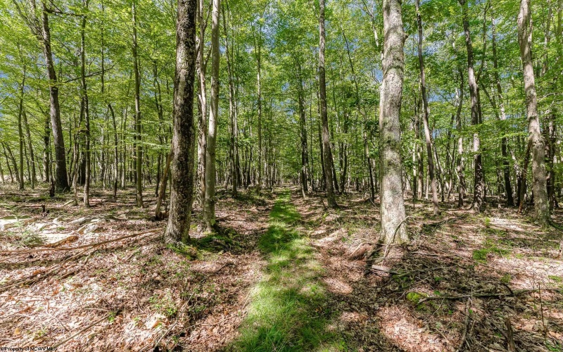 Lot 48 Hazelwood Drive, Bruceton Mills, West Virginia 26525, ,Lots/land,For Sale,Hazelwood,10161490