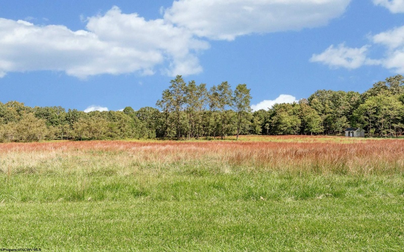Lot 48 Hazelwood Drive, Bruceton Mills, West Virginia 26525, ,Lots/land,For Sale,Hazelwood,10161490